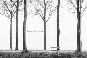 Langs de Damse Vaart, fotografie damse vaart, Noorweegse Kaai © West-Vlaamse landschapsfotograaf Glenn Vanderbeke