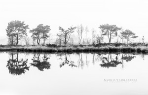 Heidelandschap, Putse Moer, Kalmthoutse Heide © West-Vlaamse landschapsfotograaf Glenn Vanderbeke