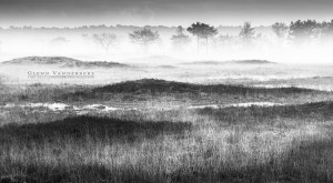 Heidelandschap, Kalmthoutse Heide © West-Vlaamse landschapsfotograaf Glenn Vanderbeke