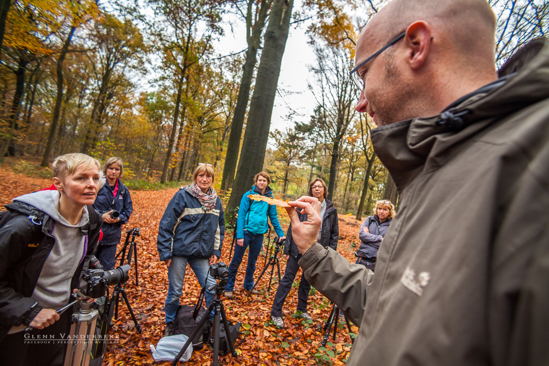 Bob Luijks tijdens zijn workshop 'herfstfotografie' in het drongengoedbos © West-Vlaamse landschapsfotograaf Glenn Vanderbeke