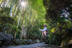 glenn vanderbeke, landschapsfotograaf, reisfotograaf, reisfotografie, japan, Kamakura, bamboo temple, bamboo forest