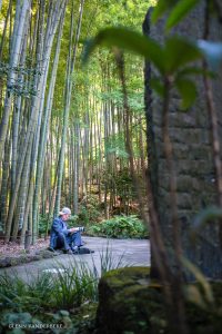 glenn vanderbeke, landschapsfotograaf, reisfotograaf, reisfotografie, japan, Kamakura, bamboo temple, bamboo forest