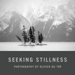 Seeking Stillness - Olivier Du Tré