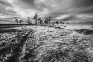 Noir Flohay, Hoge Venen © Glenn Vanderbeke