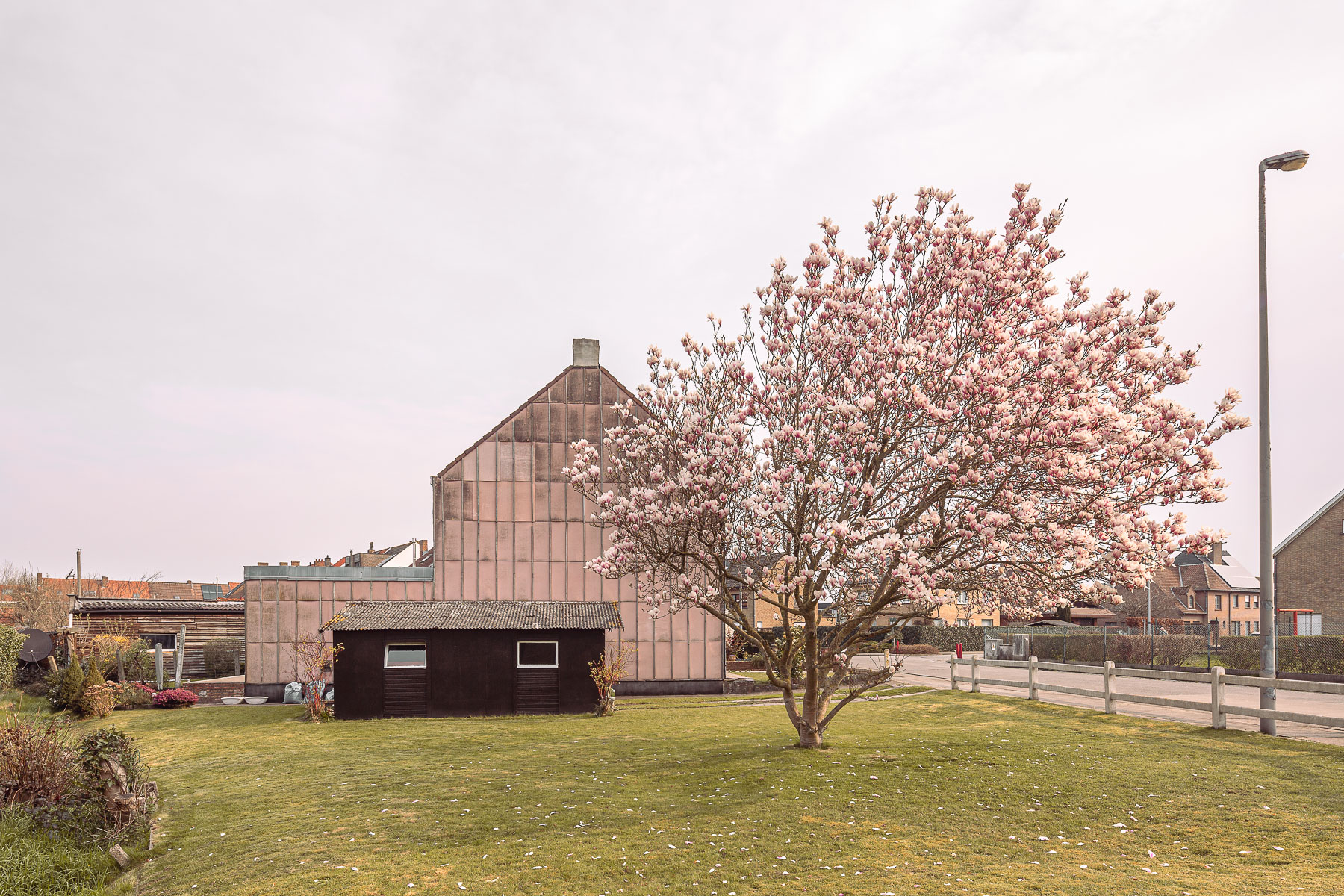 Mighty Magnolia, fotoreeks van Glenn Vanderbeke