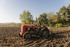 WYNDOALE: het veranderend dorpslandschap van Wijnendale in beeld