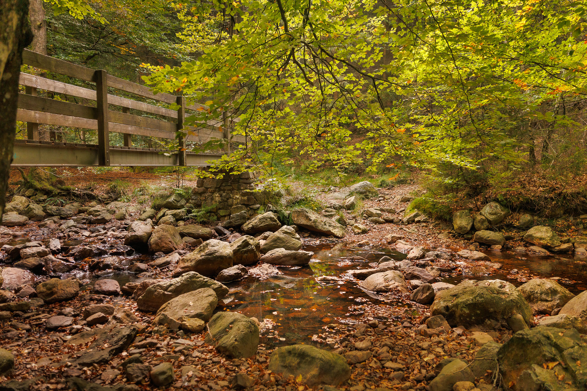Hoge Venen - De Vallei van de Getzbach en Getzberg - wandeling © Glenn Vanderbeke