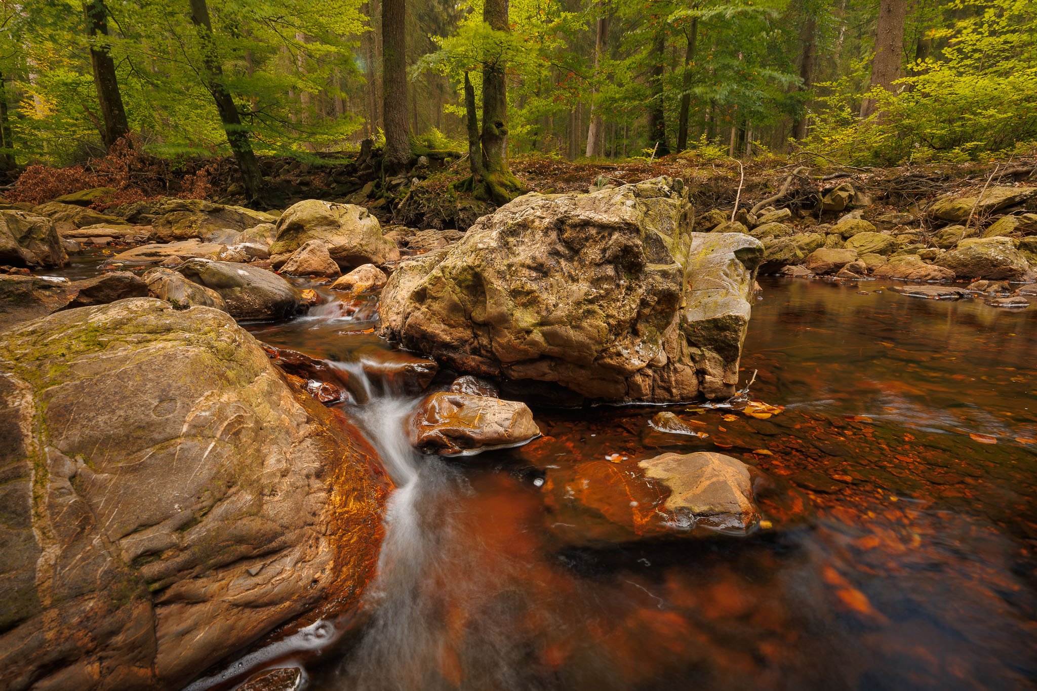 Hoge Venen - Getzbach en Getzberg wandeling © Glenn Vanderbeke