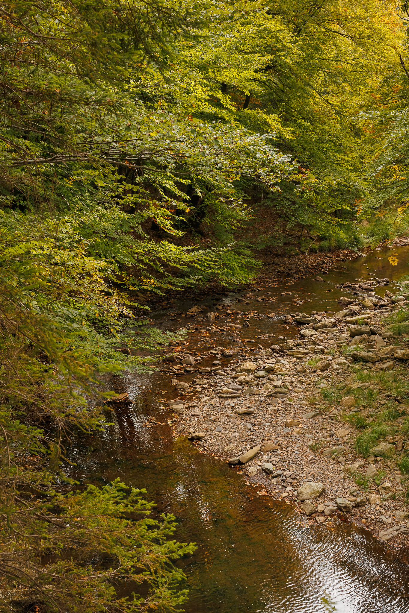 Hoge Venen - Wandelen langs De Helle © Glenn Vanderbeke