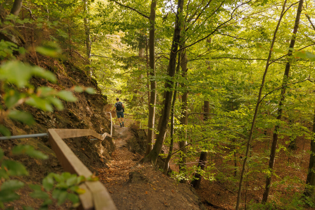 Hoge Venen - Wandelen langs De Helle © Glenn Vanderbeke