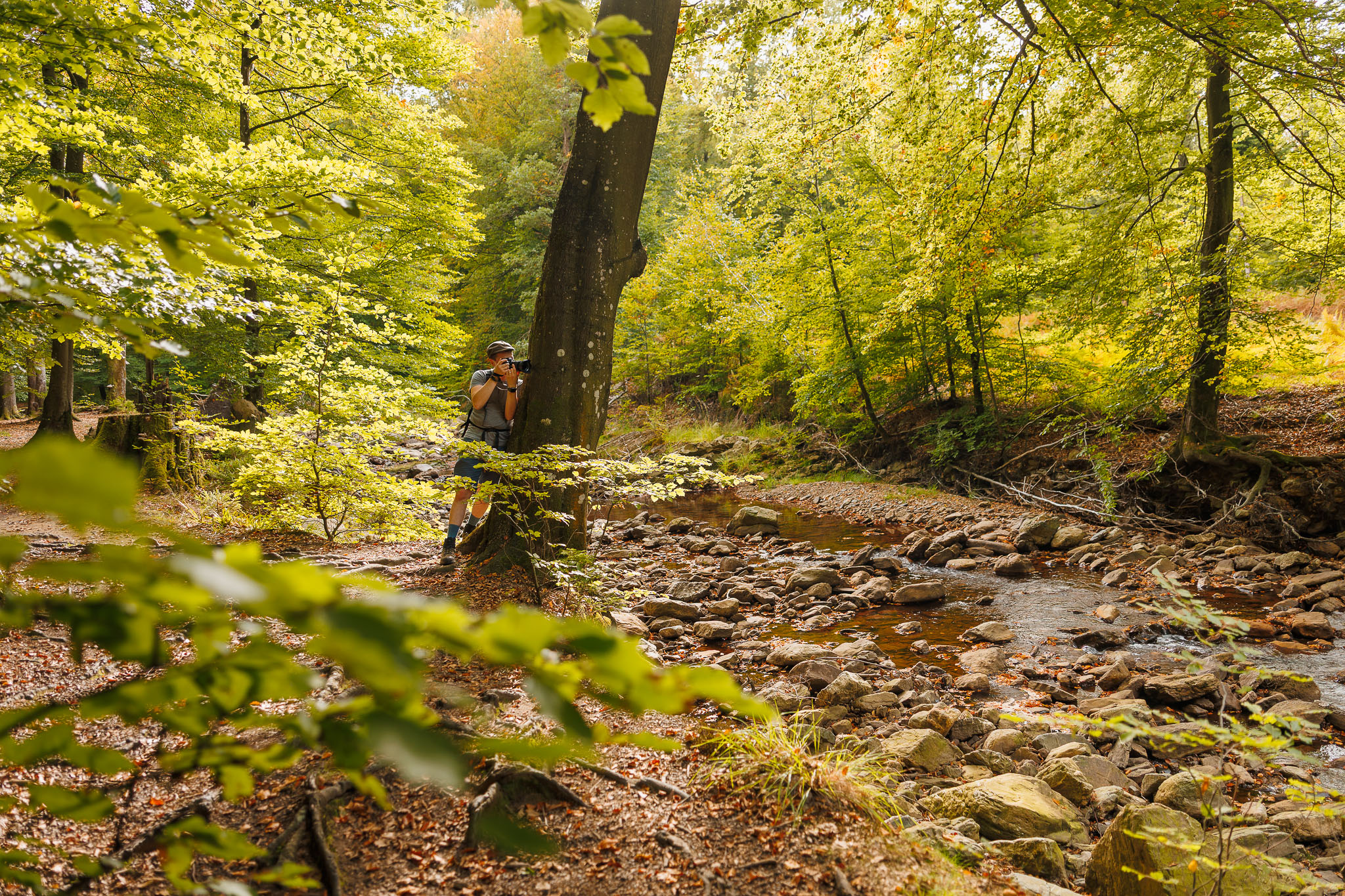 Hoge Venen - Wandelen langs De Helle © Glenn Vanderbeke