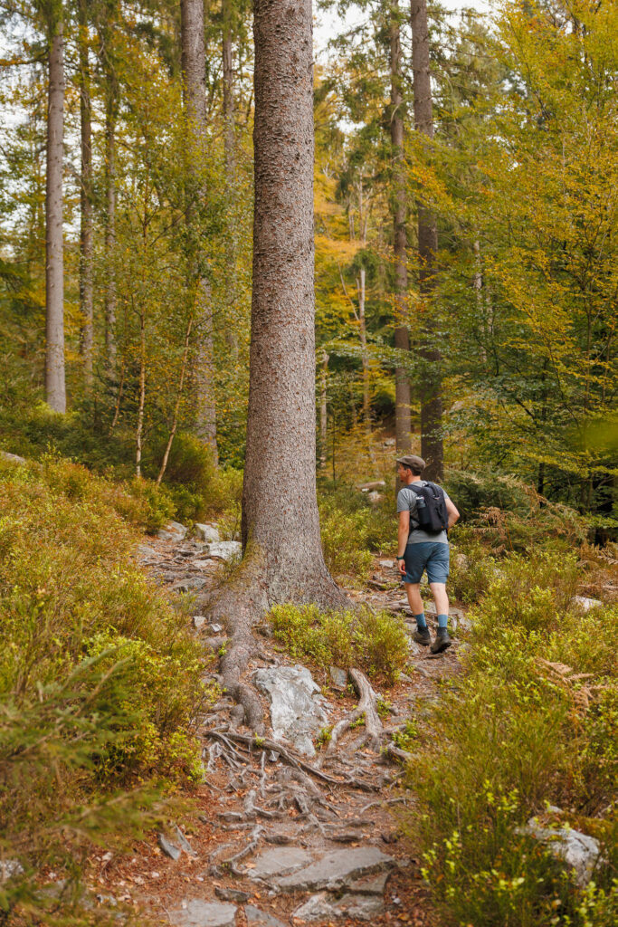 Hoge Venen - Wandelen langs De Helle © Glenn Vanderbeke